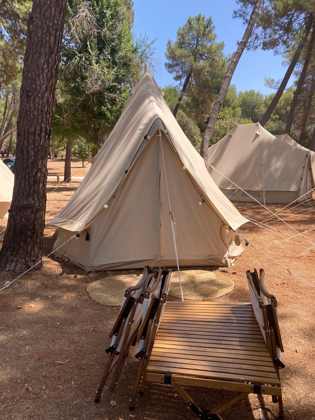 Experiencia en Glamping: Tiendas de campaña con glamour en entorno&nbsp;natural