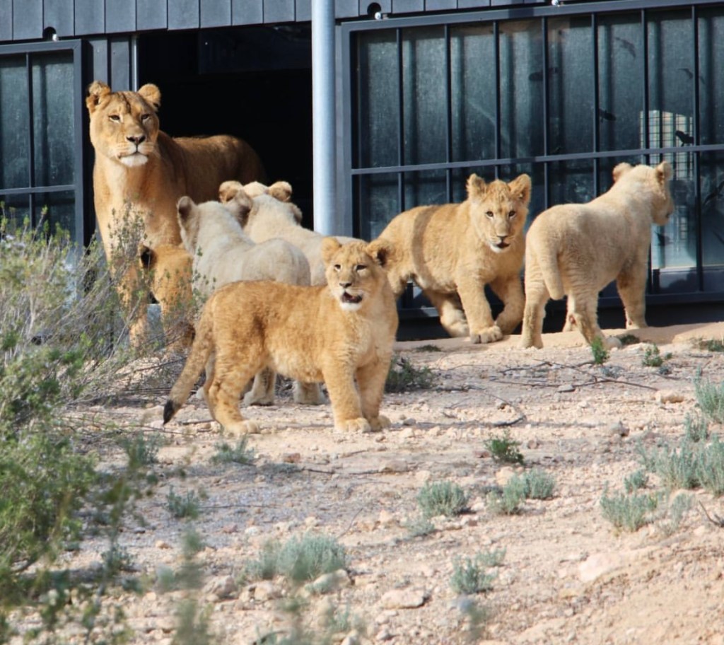 Conoce AAP Primadomus: Centro de Rescate de Animales&nbsp;exóticos